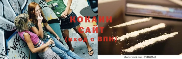 хмурый Козловка