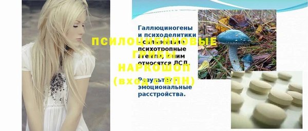 хмурый Козловка