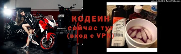 хмурый Козловка