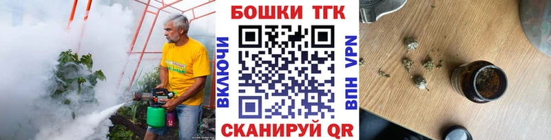 Купить закладки  Старая Русса  Бошки Шишки семена 